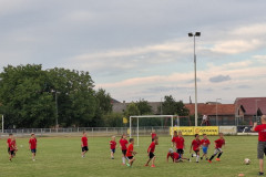 20250627_195021 (1)