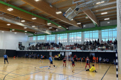 IMG-223d49a7de4551943663c84d490b80a2-V – kopija