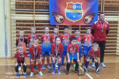 IMG-909e910f164e133cdf47b4ba397de724-V – kopija