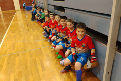 IMG-99f9e987faa8f909e9741e9eb67c73a7-V